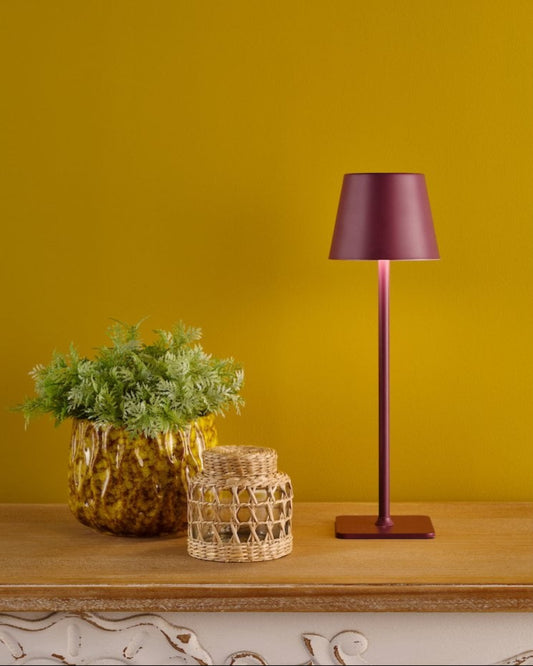 VEGA | LED AMBIENT LIGHT DECOR